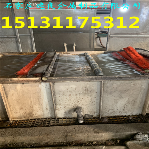 59.jpg
