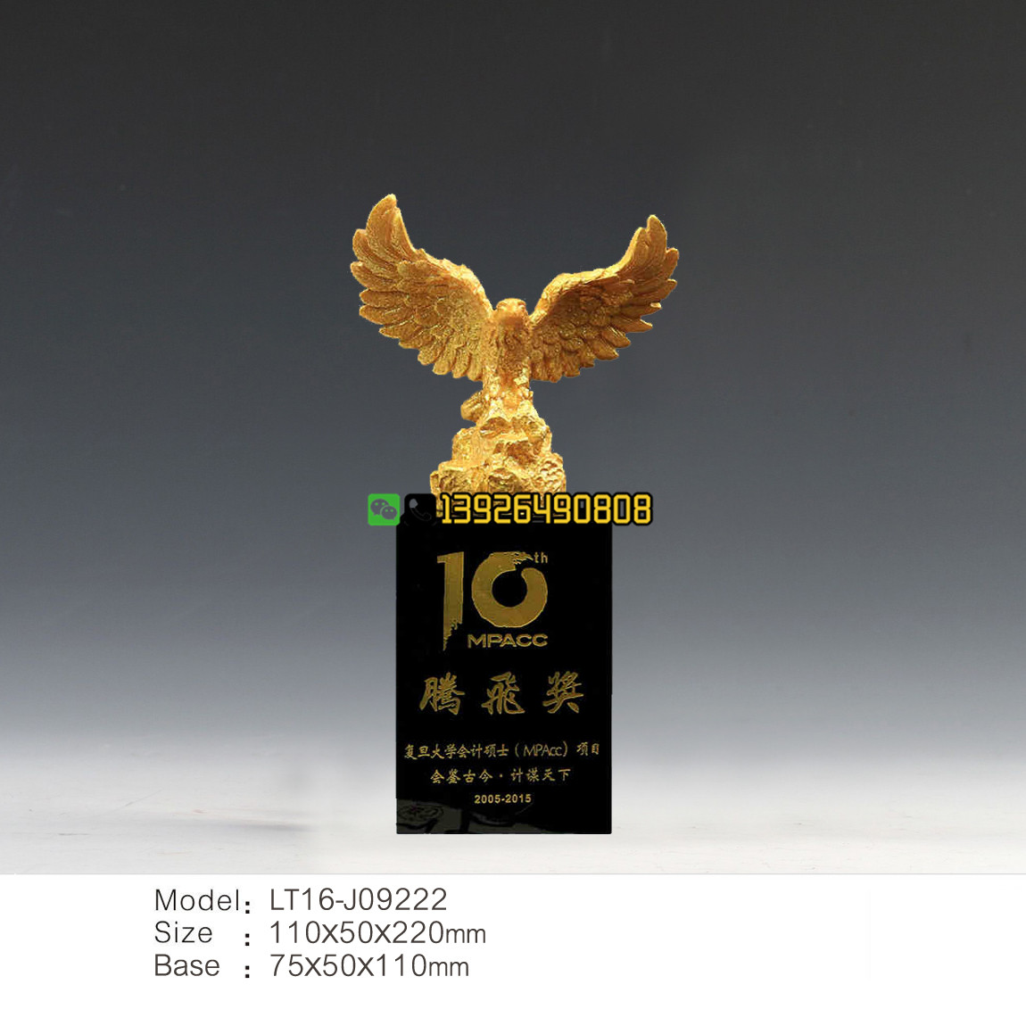 10年腾飞奖.jpg