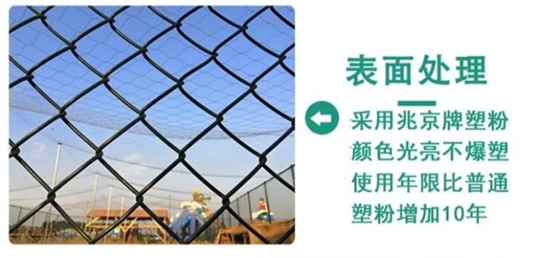 u=2939027916,412683289&fm=199&app=68&f=JPEG.jpg