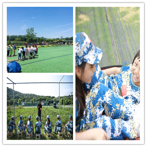5d6c9c62e69cd1469e1c658a18771de_副本.jpg