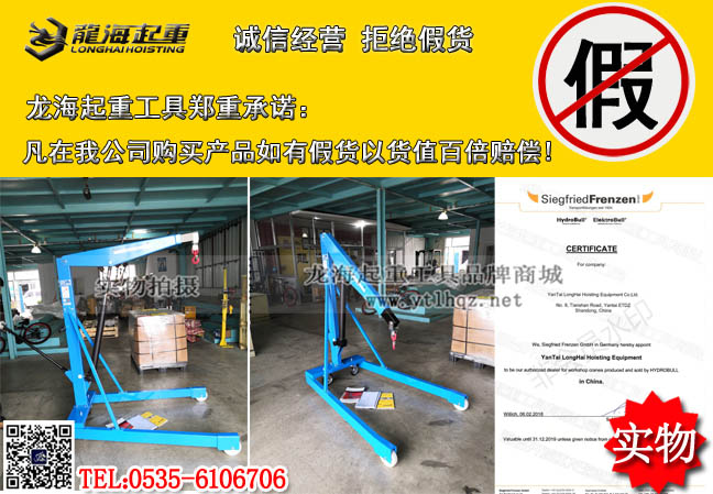 德国HydroBull轻型液压小吊车3.jpg