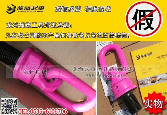 VWBG型路德万向旋转吊环3.jpg