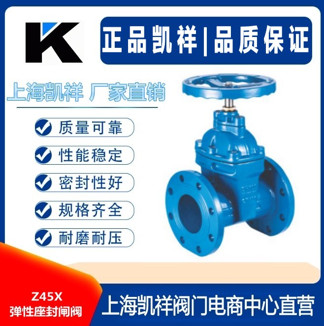 Z45X弹性座封闸阀.jpg