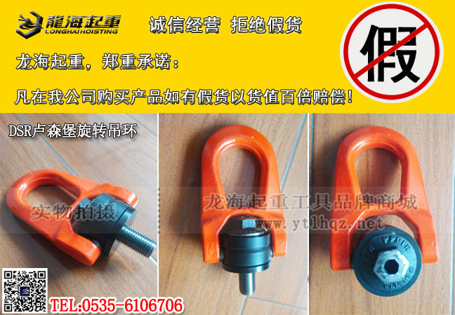DSR卢森堡吊环3.jpg