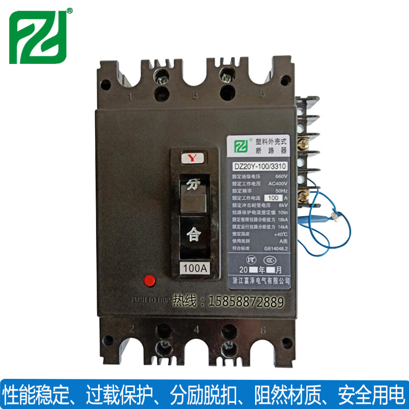 DZ20Y-100-3310-1.jpg