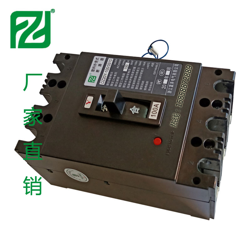 DZ20Y-100-3310-5.jpg