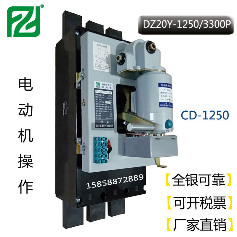 DZ20Y-1250-3300P-2.jpg
