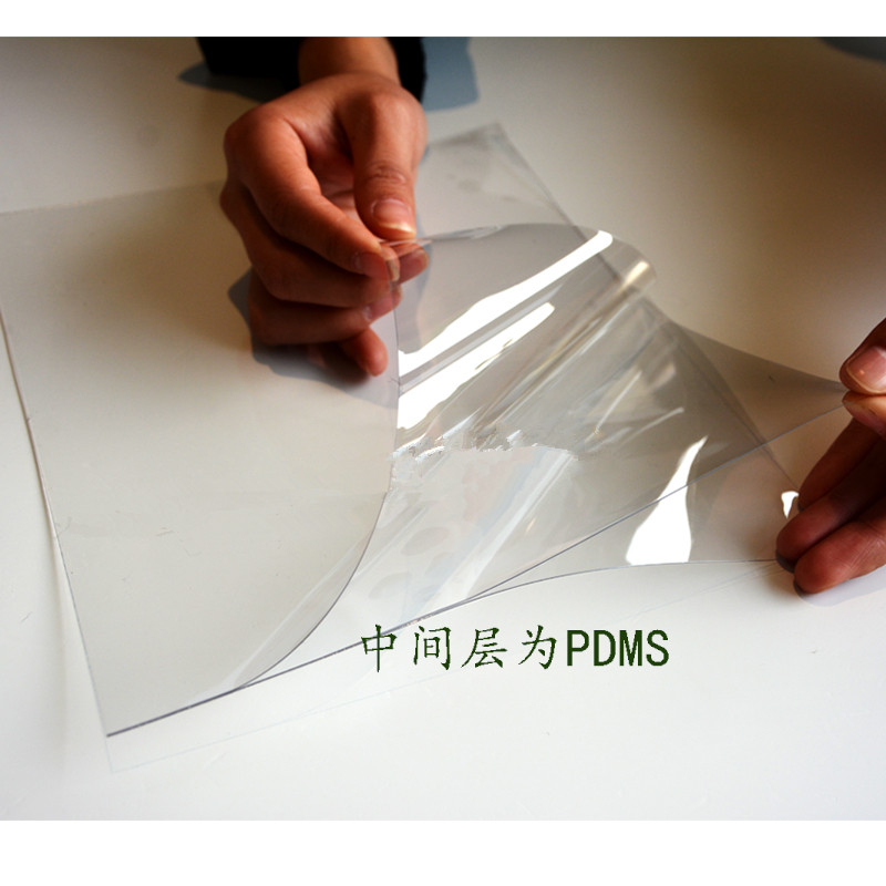 PDMS2.jpg