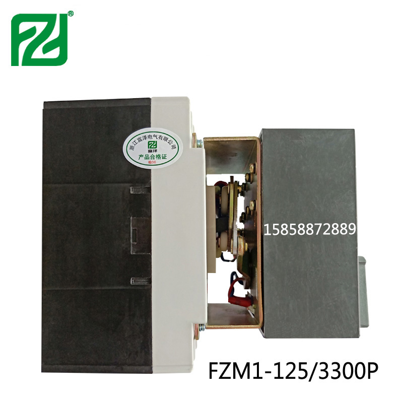 FZM1-63P-1.jpg