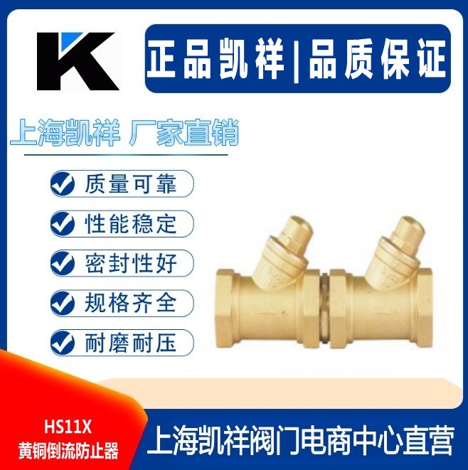 黄铜倒流防止器.jpg