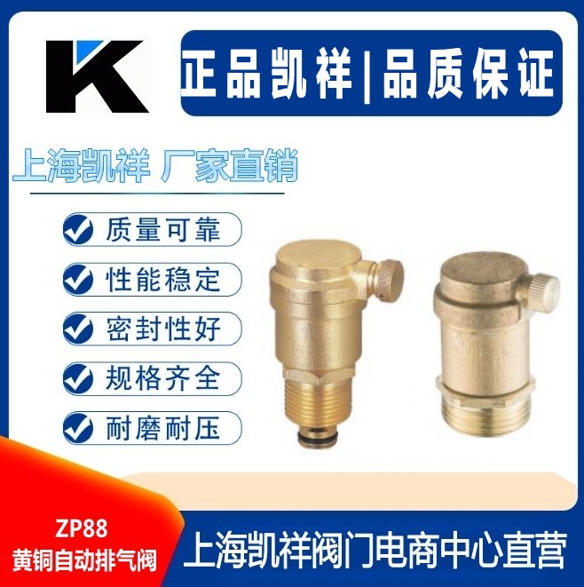 黄铜自动排气阀.jpg
