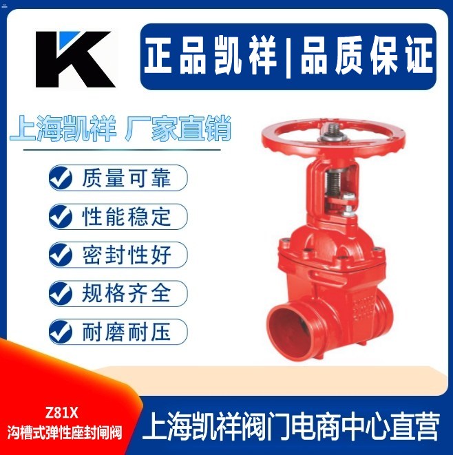 Z81X沟槽式弹性座封闸阀.jpg