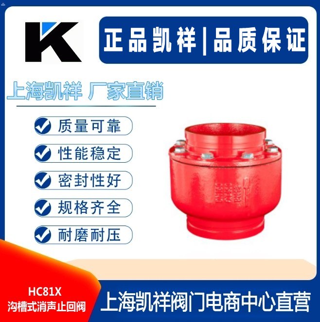 HC81X沟槽式消声止回阀.jpg