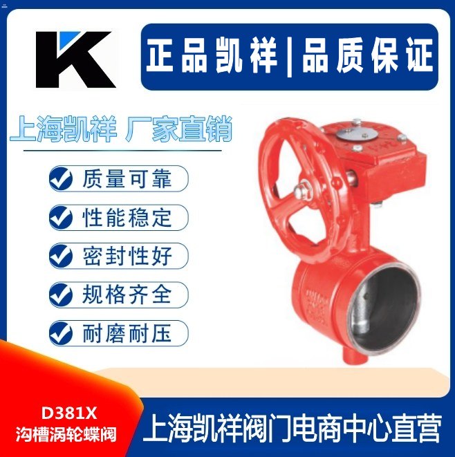 D381X沟槽涡轮蝶阀.jpg