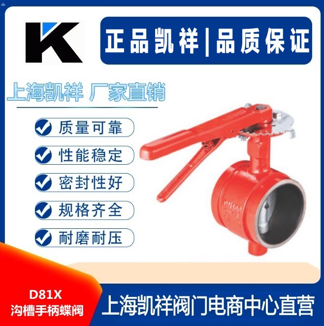 D81X沟槽手柄蝶阀.jpg