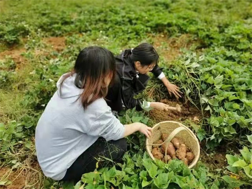 微信图片_20211014192858.jpg