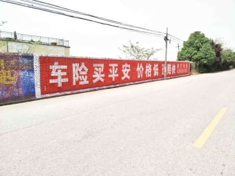 平安保险陕西地区（手绘）墙体广告精选照片远景1 (1).jpg