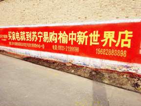 1636164502678739.jpg 苏宁易购榆中地区(手绘)墙体广告精选照片近景5.jpg