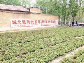 1636164599530287.jpg 微信图片_2021062409180717.jpg