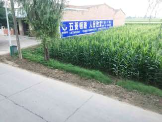 1636358132245080.jpg 五菱汽车陕西地区(手绘)墙体广告精选照片远景1.jpg