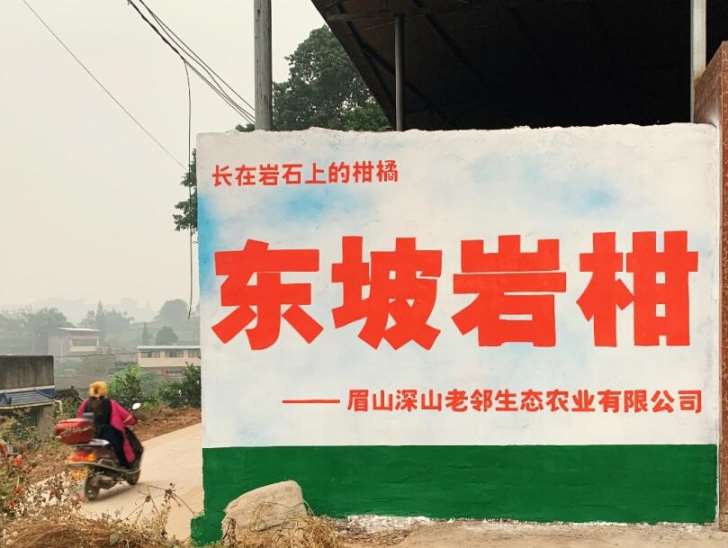 QQ截图20211104084613.jpg