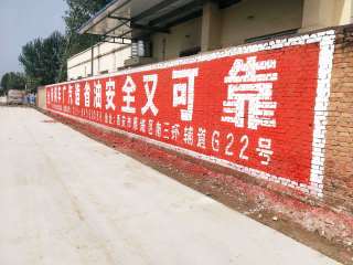 1636600690211294.jpg 广汽传祺西安地区(手绘)墙体广告精选照片近景2.jpg