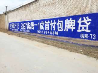 1636698866864148.jpg 东风风行渭南地区(手绘)墙体广告精选照片近景5.jpg