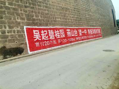 1636698898415037.jpg 碧桂园房地产吴起县(手绘)墙体广告精选照片近景3.jpg