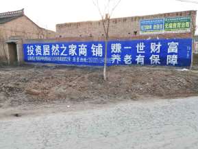 居然之家乾县地区（手绘）墙体广告精选照片近景2.jpg