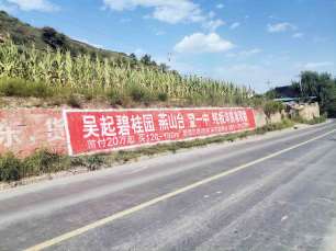 1637563610207890.jpg 碧桂园房地产吴起县(手绘)墙体广告精选照片近景5.jpg