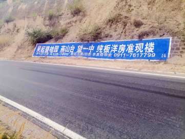 1637563964492144.jpg 碧桂园房地产吴起县(手绘)墙体广告精选照片近景1.jpg
