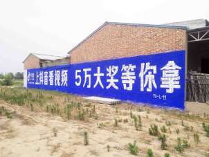 1637735410731495.jpg 抖音西安地区(手绘)墙体广告精选照片近景5 (1).jpg