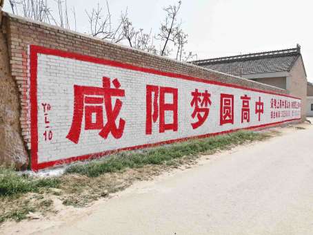 1637907413245525.jpg 陕西西安农村墙体广告.jpg