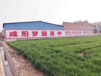 1637907639172296.jpg 陕西宝鸡农村写字广告.jpg
