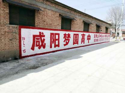 1637993623712467.jpg 陕西咸阳农村墙体广告.jpg
