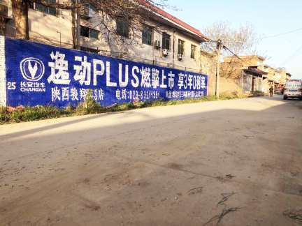 1637993640730619.jpg 陕西延安手绘广告.jpg
