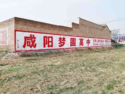 1637993816196707.jpg 陕西安康墙体广告.jpg