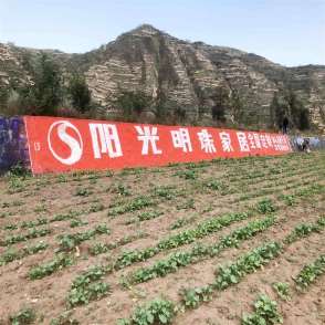 1638253689833522.jpg 阳光明珠家居(手绘)墙体广告精选照片远景2.jpg