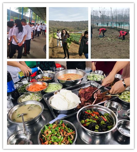 微信图片_202110161719235.jpg