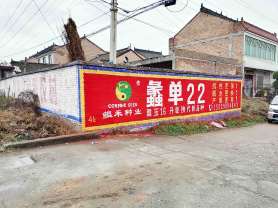 1639713785672522.jpg 蠡单种子西安地区(手绘)墙体广告精选照片近景5.jpg