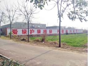 1639809456237328.jpg 标语蒲城地区(手绘)墙体广告精选照片远景4 (1).jpg
