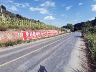 碧桂园房地产吴起县（手绘）墙体广告精选照片远景3.jpg