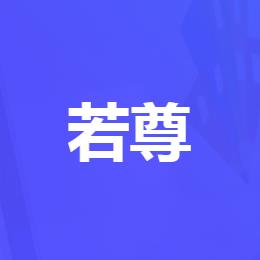 安徽若尊网络科技有限公司