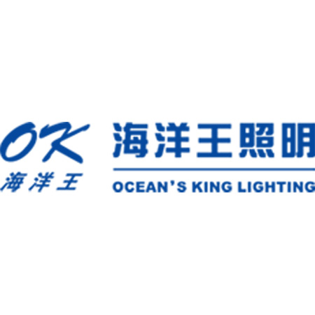 海洋王