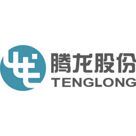 腾龙股份
