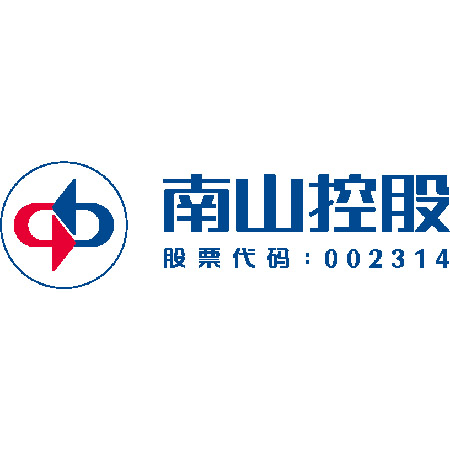 南山控股