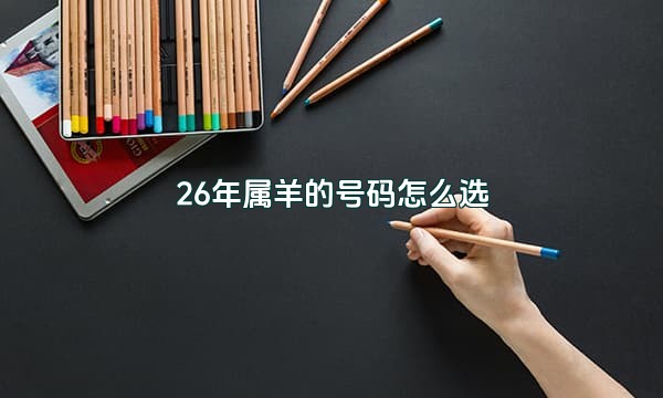 26年属羊的号码怎么选